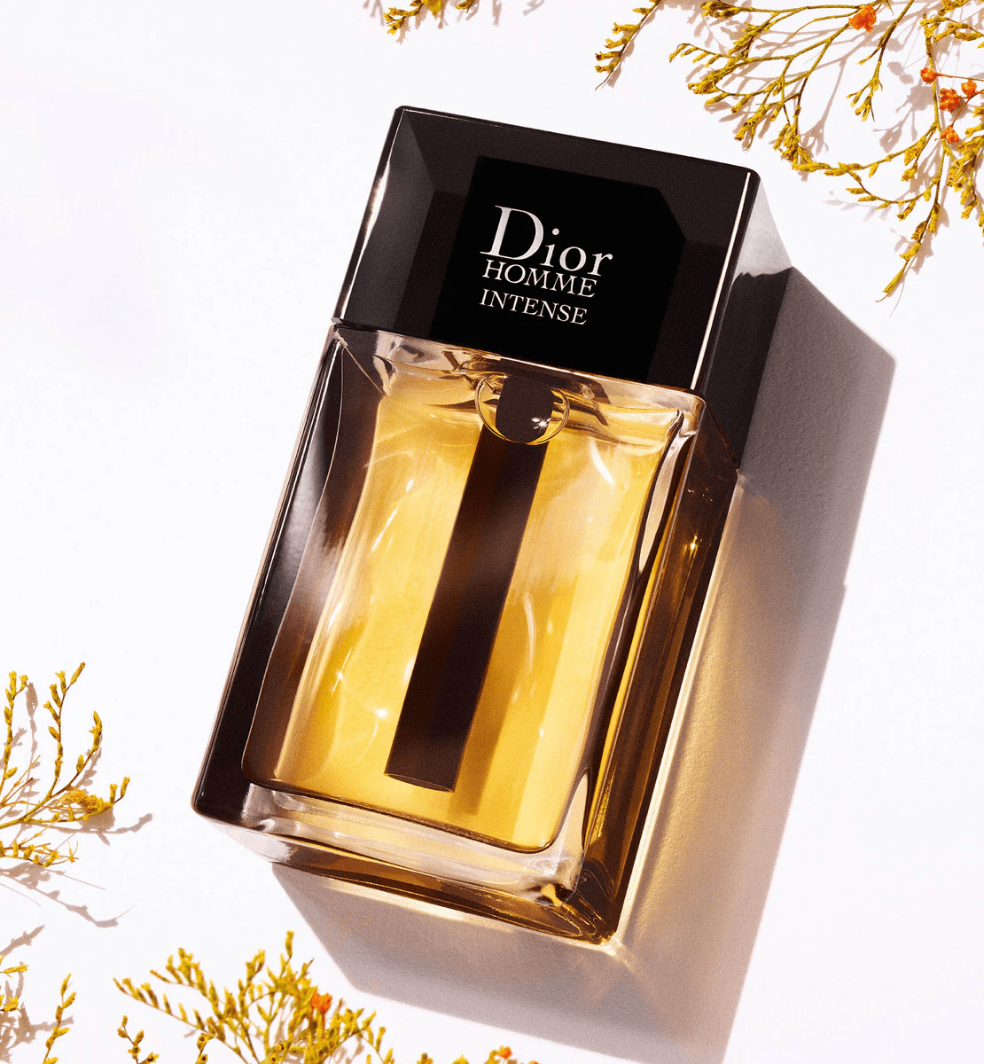 Dior Homme Intense EDP
