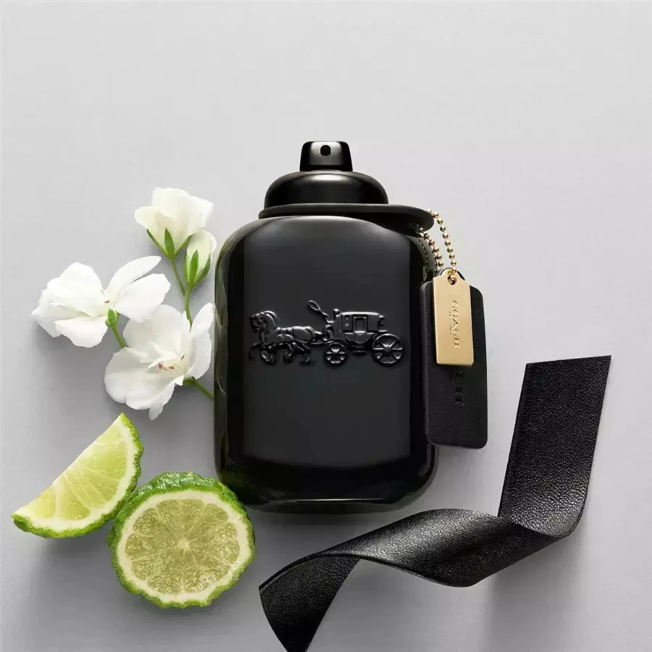 Coach for Men Eau de Parfum